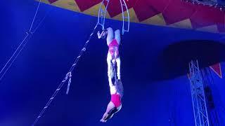 Stardust circus | Thrilling circus stunts | Aerial Acts #stardust #circus