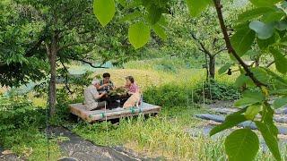 Harvesting crops and having a meal of pork and bibim noodles outdoors (Korean country life)