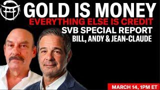 BILL HOLTER & ANDY SCHECTMEN: GOLD IS MONEY, EVERYTHING ELSE IS CREDIT - SVB REPORT