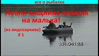 Ловля хищника плавом. Архивное видео #1