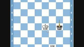 Chess Endgame- King and Rook