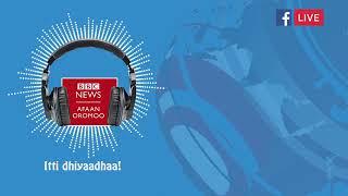 Bbc afaan oromoo Mary 7 2025 Ethiopian News today oromoo