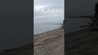 ️ PALAWAN PHILIPPINES 