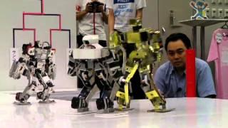 Robot Pro-Wrestling Dekinnoka!13 Saaga vs Nagare-Gold