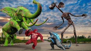 Evolution Of Kong VS Elephant, Siren Head | Ultimate Showdown | Jurassic World Rebirth | Teddy Chase