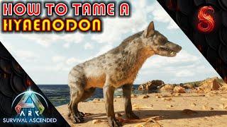 ARK SURVIVAL ASCENDED HOW TO TAME A HYAENODON