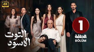 الحلقة 1 | مسلسل التركي | التوت الأسود | مدبلج عربي ( Arabic Dubbed ) #مسلسلات_تركية