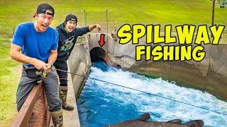 Fishing GIANT SPILLWAYS for MULTI SPECIES!