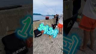 #통영낚시 초보만 보라고!