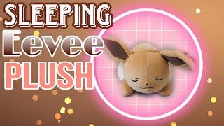 Jumbo Sleeping Eevee Plush [Showcase and Review] Pokemon