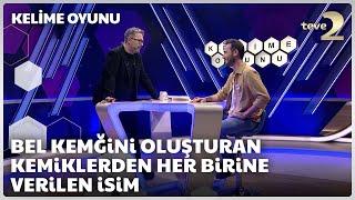 Bel kemiğini oluşturan kemiklerden her birine verilen isim | Kelime Oyunu