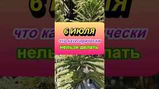 6 июля народный праздник день Аграфены Купальницы. Что нельзя делать. Народные приметы и традиции