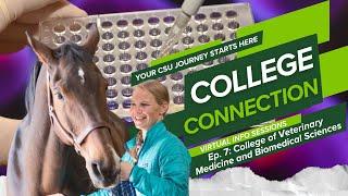 CSU College of Veterinary Medicine and Biomedical Sciences