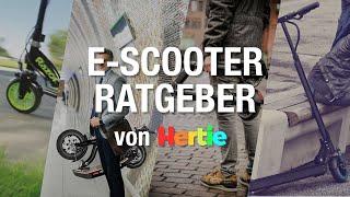 E-Scooter mit Straßenzulassung - Unser Video-Ratgeber | Hertie.de