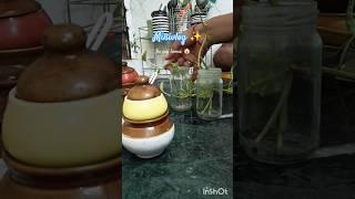 home #home #life #lifestyle #minivlog #viralshort #shorts #shortsfeed #love #yt #trend #short #vlog