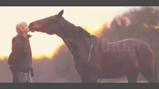 HORSE WORLD l Твоя любовь- это так красивоl Конный клип