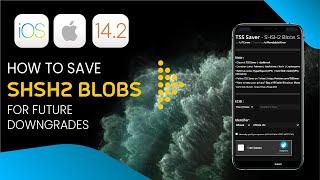 How To Save Shsh2 Blobs iOS 14.2 | Youtube #shorts