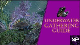 (Console)Black Desert Online Underwater Gathering Guide!!(2021)