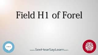 Field H1 of Forel   Anatomy of the Brain   SeeHearSayLearn 