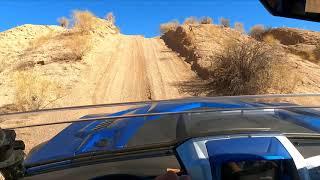 Arizona buckeye Adventure