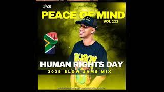 SLOW JAM MIX 2025 | HUMAN RIGHTS DAY | PEACE OF MIND VOL 111 | DJ Ace ️