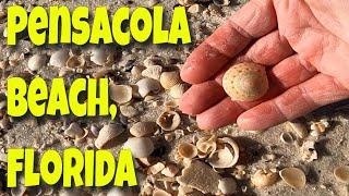 Golden Hour Shelling, Pensacola Beach, Florida