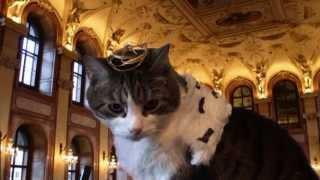 Cat plays Shakespeare "Henry V"  (King's marriage proposal)