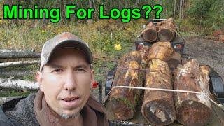 Log Mining?? Is The Wood Still Good?