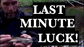 Fishing for brook trout in a Maine forest | Catch and cook (ish)