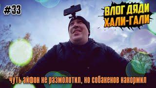 Влог Дяди «Хали-Гали» #33. Чуть айфон не размолотил, но собакенов накормил.