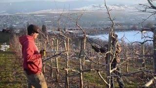 Winter at Davison Orchards