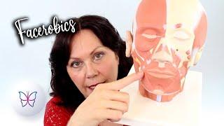 Facial Exercises - How To ISOLATE the Muscles of the Face