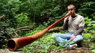 Ben Malcolm Getting NASTY on a Wet Didgeridoo