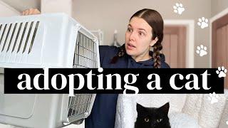 HOME VLOG | I'm adopting a cat 