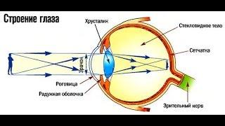 Зрение детей. Как видят дети. Родителям на заметку!