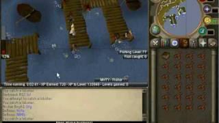 RSBot RuneScape Fisher - More Human Than You Fisher