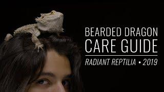 Bearded Dragon Complete Care Guide | Radiant Reptilia 2019