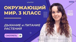 Дыхание и питание растений. Видеоурок 10.2. Окружающий мир 3 класс