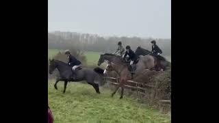 The Quorn Hunt Ladies Day last week was quite an occasion!