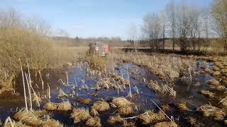 Покатушки по бездорожью на вездеходе "Дозер"