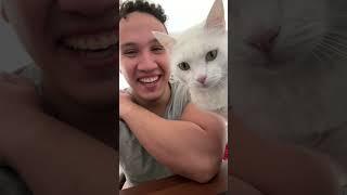 اجل عمل اليوم الى الغد  #يوميات_مرعى_براو #pets #cat #قطط