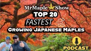 Top 20 Fastest Growing Japanese Maples | MrMaple Show Podcast