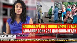 ЎЗБЕКИСТОНДА КАСАЛЛАР СОНИ 260 ДАН ОШИБ КЕТДИ КАШКАДАРЁДА 6 КИШИ ВАФОТ ЭТДИ