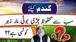 Which is the safest herbicide for wheat crop || Crop Reformer