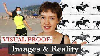 What these HORSE PHOTOS can tell us about REALITY