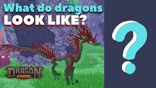 What do Dragons Look Like? - Dragon Adventures Roblox