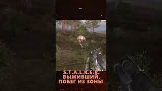 А ВОТ И ХИМЕРА.СТАЛКЕР #shorts #сталкер #моды #мод