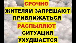 Срочно. Жителям запретили приближаться. Распыляют. Ухудшается ситуация Индия токсичная ядовитая пена