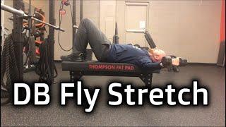 DB Fly Stretch