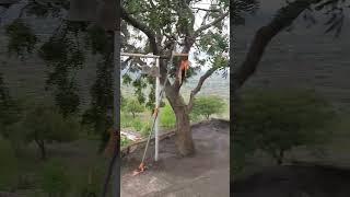 #shortvideo #nature #marathi #travelblog #travel #travelvideo #vlog #travelvlog #vlogging